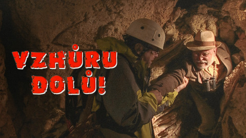 Vzhůru dolů!
