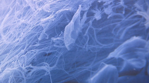 Nedej se! - Náš nanosvět