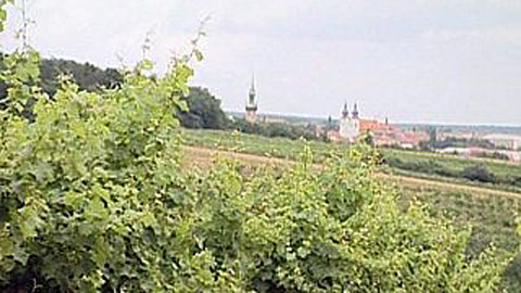 Vinitorium Moravicum - Epizoda 6/13