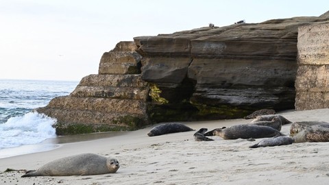 Na cestě - Na cestě po San Diegu