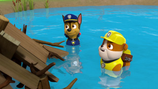 Tlapková patrola II