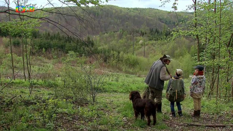 S Hubertem do lesa - Lesní studánka