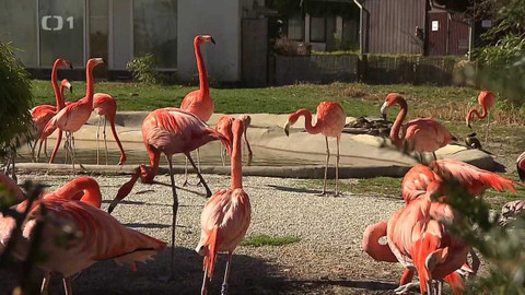 Týden v regionech (Ostrava) - 2. dubna 2022