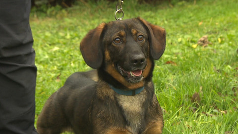 Chcete mě? - Chcete je?