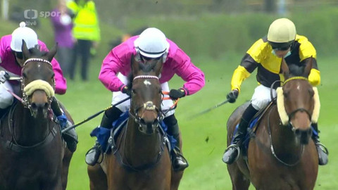 Dostihy - Prvomájová steeplechase