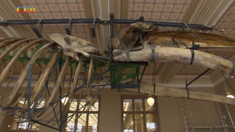 Zprávičky - 2. května 2019