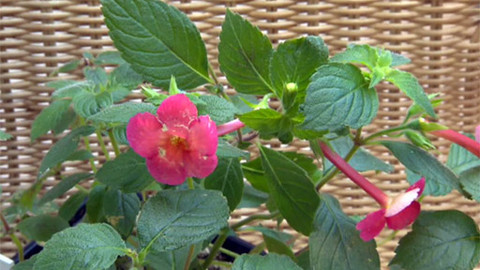 Barvy života - 16. září 2011