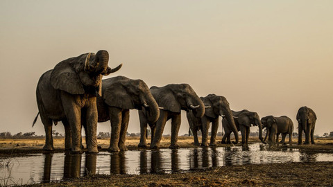 Okavango - řeka snů - 3/4 Rozpálené peklo