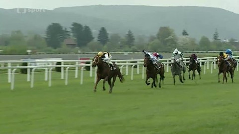 Turf - 30. dubna 2013