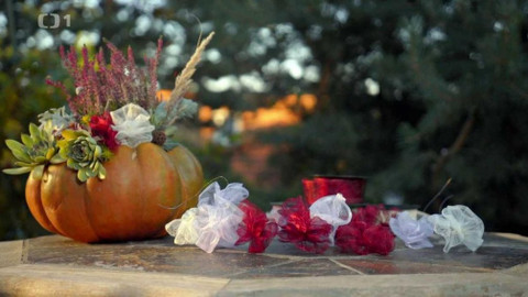 Všechno, co mám ráda - Epizoda 38/15