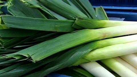 Pod pokličkou - Pórek - mladší bratr cibule a bratranec česneku