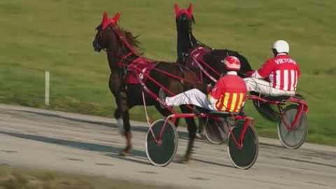 Jezdectví - Klusácký St. Leger