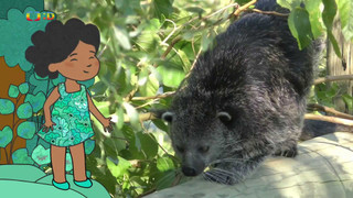 Velká kniha o zvířátkách II