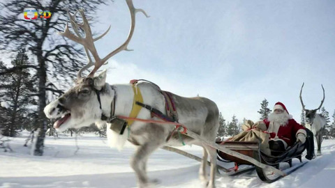 Zprávičky - 23. prosince 2023