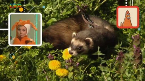 Telefon - 31. května 2015