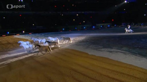 Světové jezdecké hry 2014 Francie - Volný den