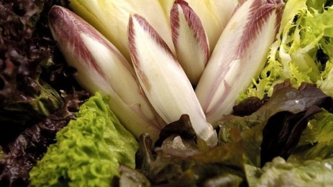 Kluci v akci - Jarní