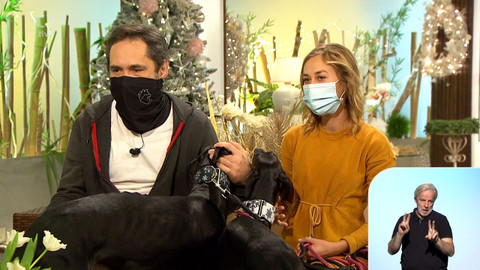 Sama doma - 2. prosince 2020