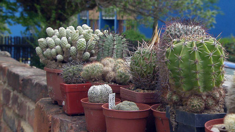 Tajemství pražských dvorků - Dvorky Prahy 6