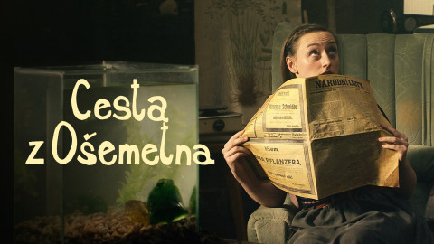 Cesta z Ošemetna