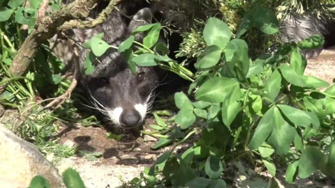 Toulavá kamera - 31. května 2020