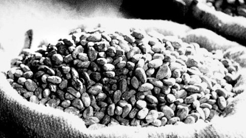 Hledání ztraceného času - Čokoládový film