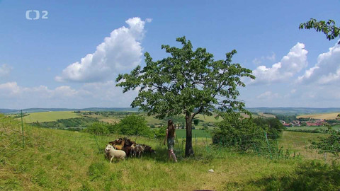 Nedej se! - Ostrůvky života