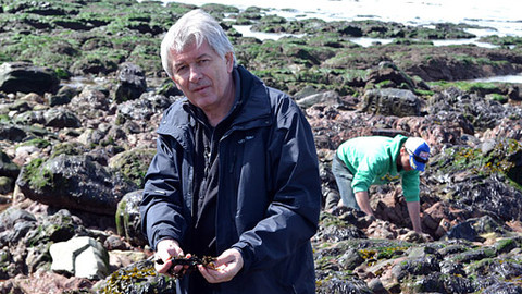 Postřehy odjinud - Wales očima Petra Voldána