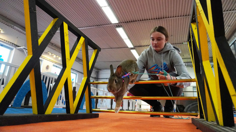 Co Čech, to chovatel - 7/8 Hop a skok