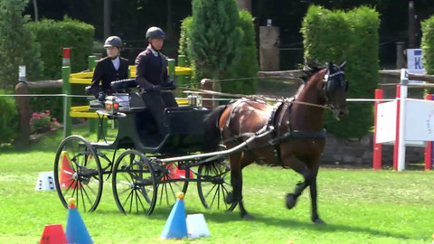 Jezdectví - MČR spřežení Semice