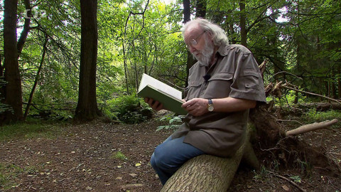 Nedej se! - Odkud připlavaly věnce?