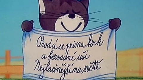 Byla jednou koťata - 6/13 Kočičí umývání