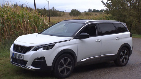 Černé ovce - 11. listopadu 2020