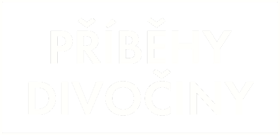 Příběhy divočiny