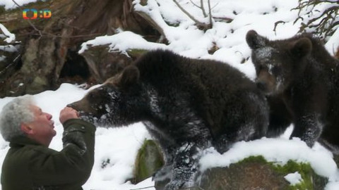 Méďové na cestách - 43/43 Brdský večírek