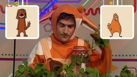 Telefon - 14. června 2015