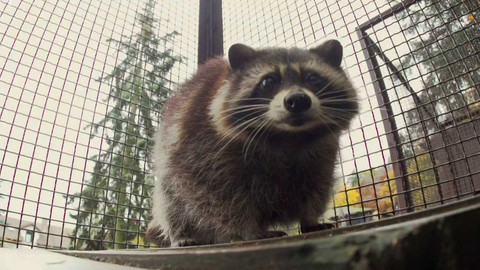 Máme rádi zvířata - 6. května 2024