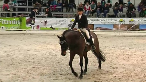 Jezdectví - Ohlédnutí za festivalem