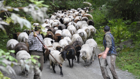 Půvab rakouských hor - 4/5 Od Walzrtalu po Montafon