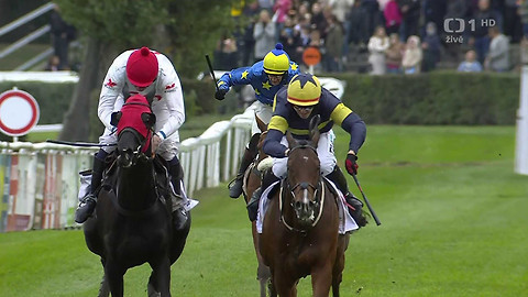 Velká pardubická - 136. Velká pardubická se Slavia pojišťovnou