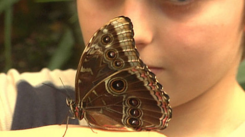 Zprávičky - 21. května 2011