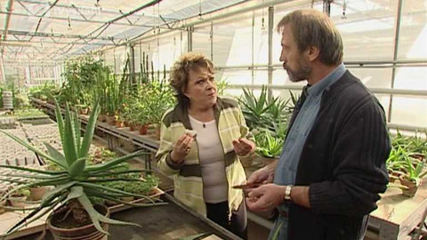 Dobrá rada nad zlato - 14. června 2008