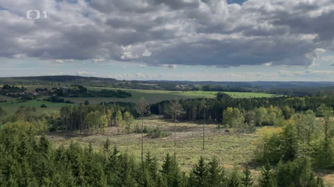 Týden v regionech (Brno) - 15. října 2022