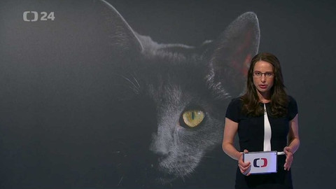 Horizont ČT24 - 21. června 2017