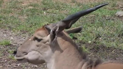 Toulavá kamera - 6. července 2008