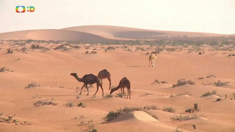 Cestohrátky - Maroko