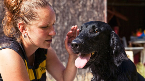 Život je pes - 2/6 Messie
