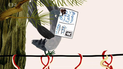 Mlsné medvědí příběhy - Pozdrav od strýčka