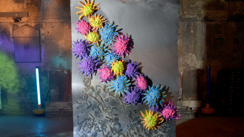 Divoké umění - 26/26 Hvězdice trnová koruna