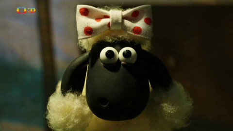 Ovečka Shaun - 13/30 Výstava psů